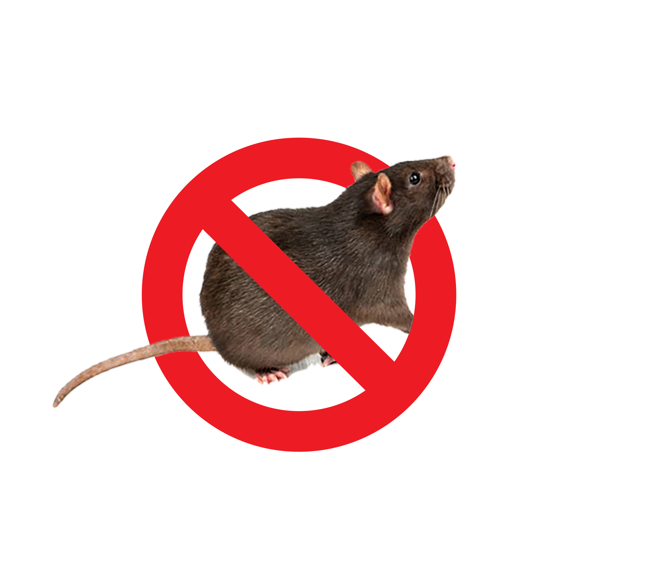 Mice pest control