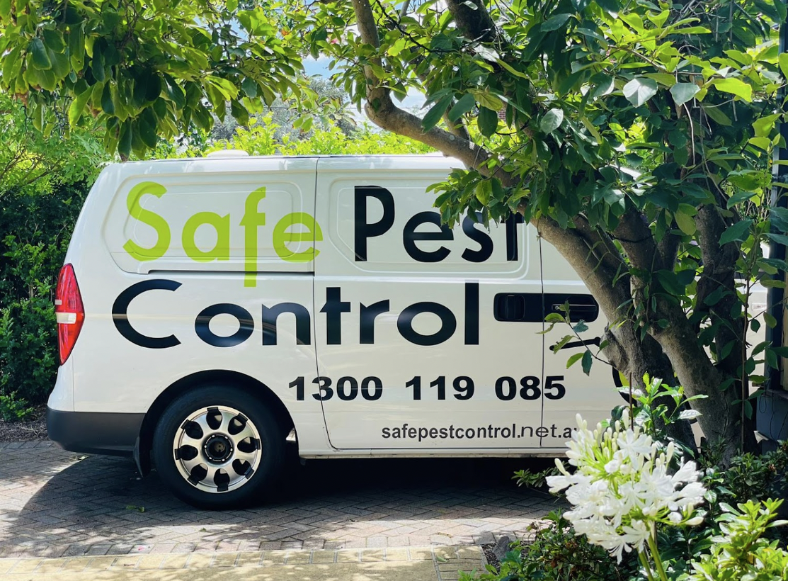 pest control service in sydney